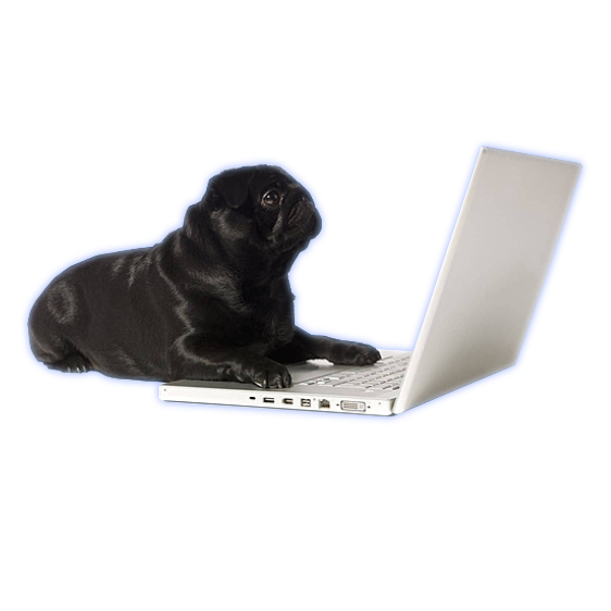 About Image